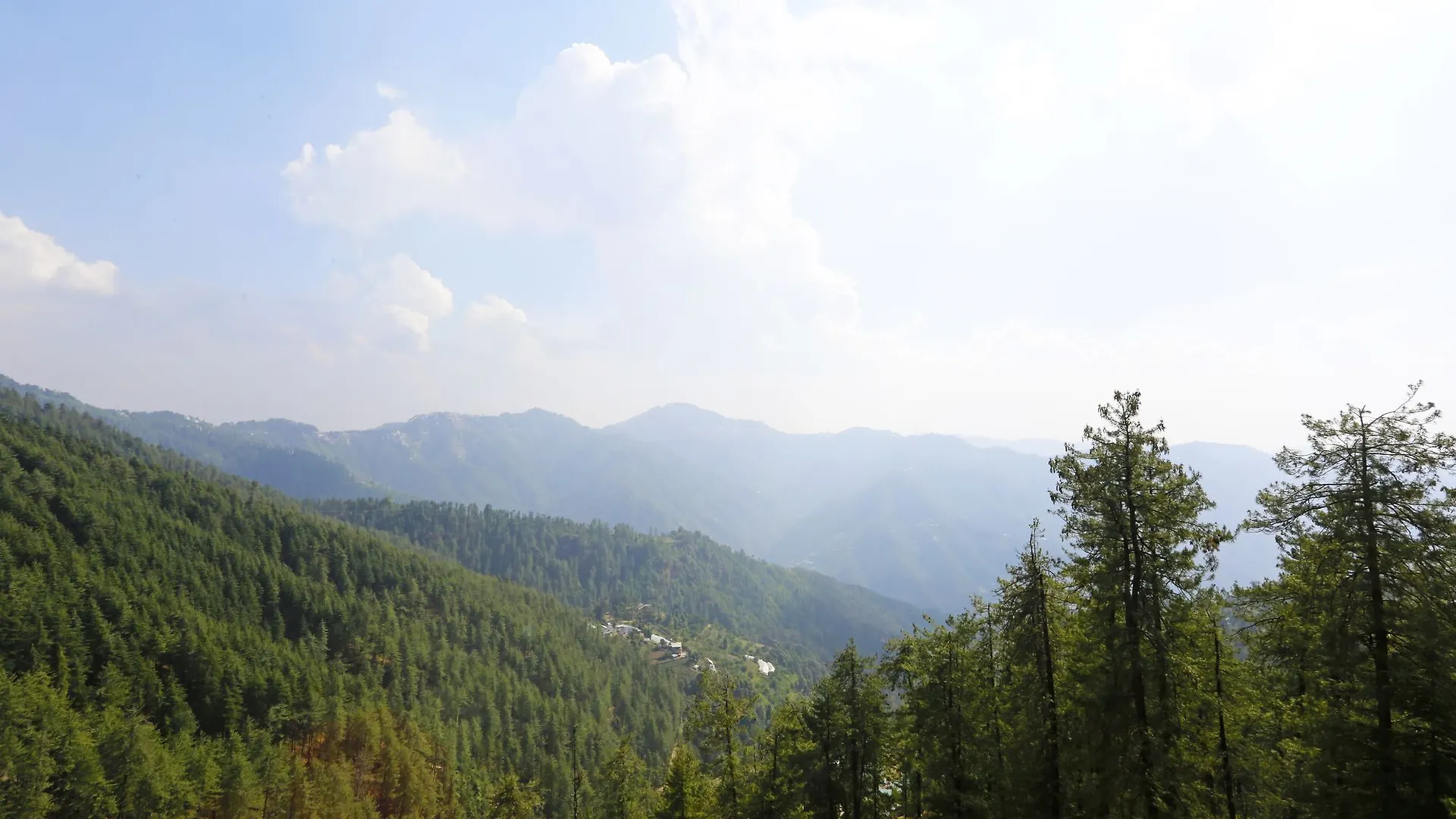 Oyo Rooms 071 Valley View Mashobra Shimla India